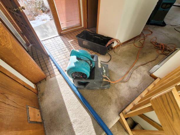 Best Sewage cleanup and water damage restoration  in Willmsburg, IA