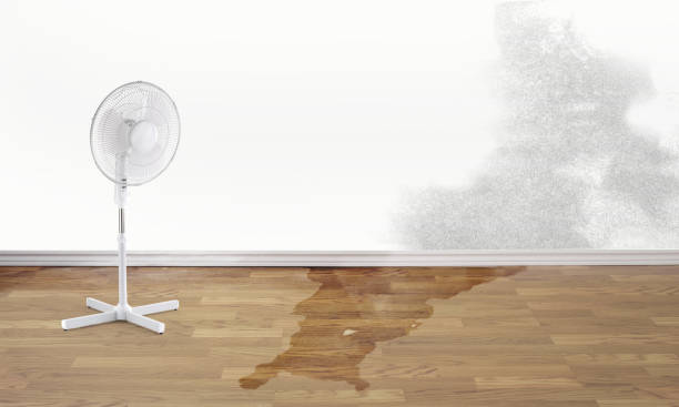 Best Water damage restoration near me  in Willmsburg, IA