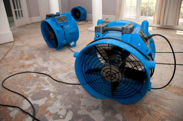 Best Residential water damage restoration  in Willmsburg, IA